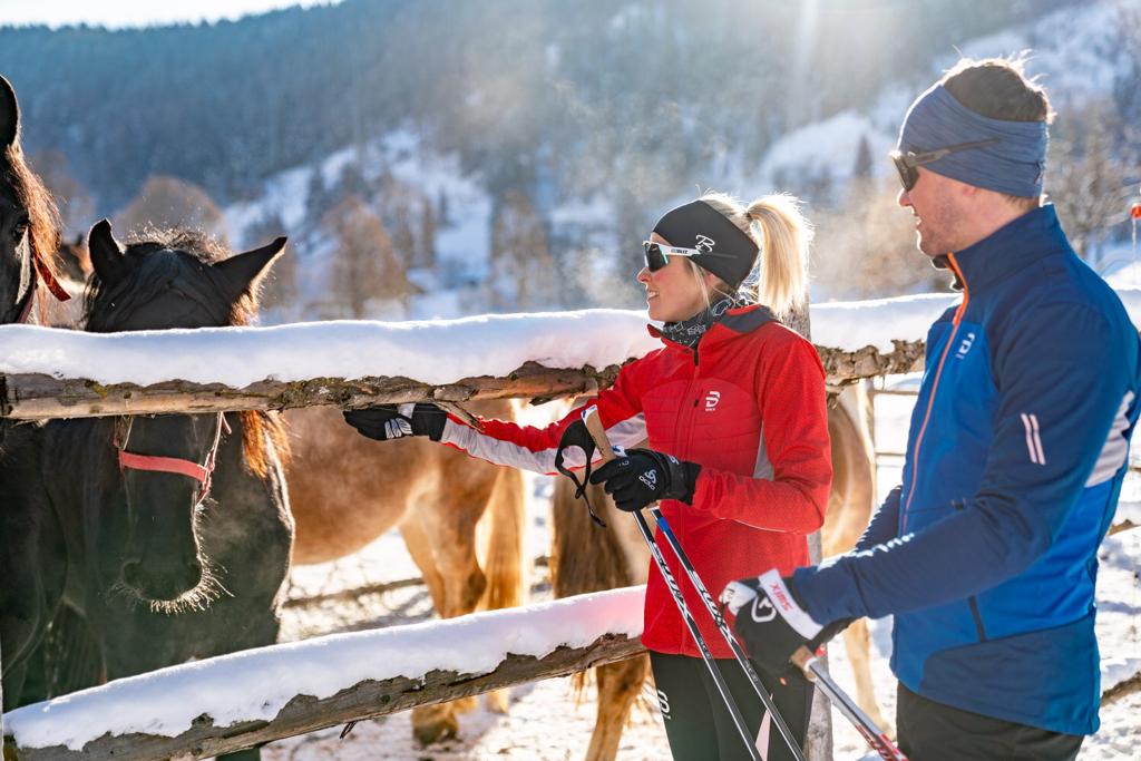 Pferde an der Loipe (c) Christine Höflehner